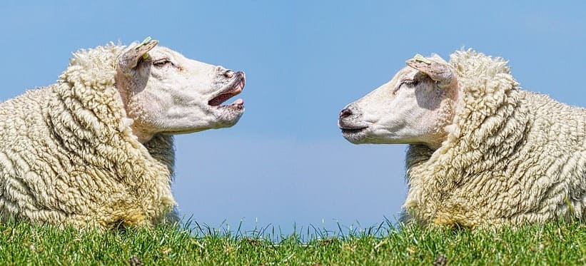 Conoce acerca de la voz narrativa y sus características